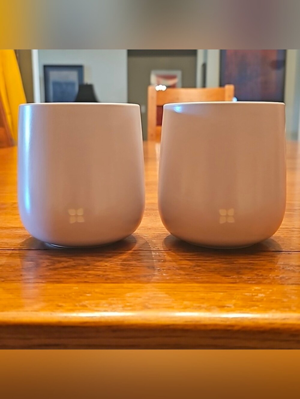 Waterdrop Double-Walled Porcelain Cup Set